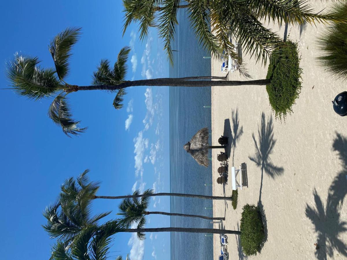 Drop Anchor Resort & Marina Islamorada Dış mekan fotoğraf